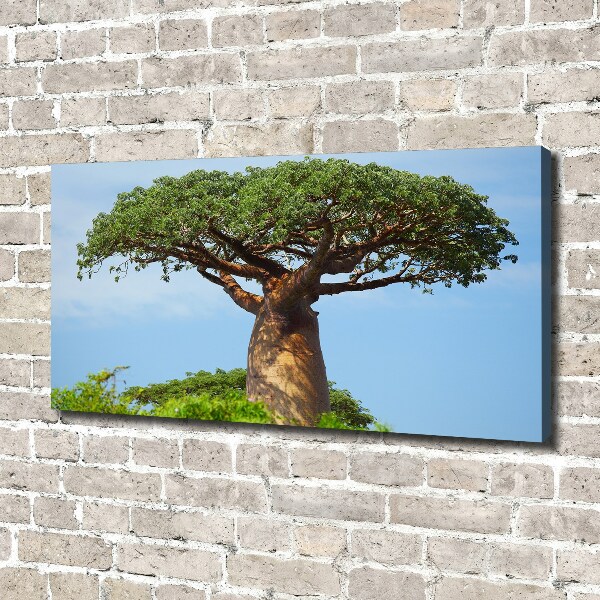 Canvas wall art Baobab