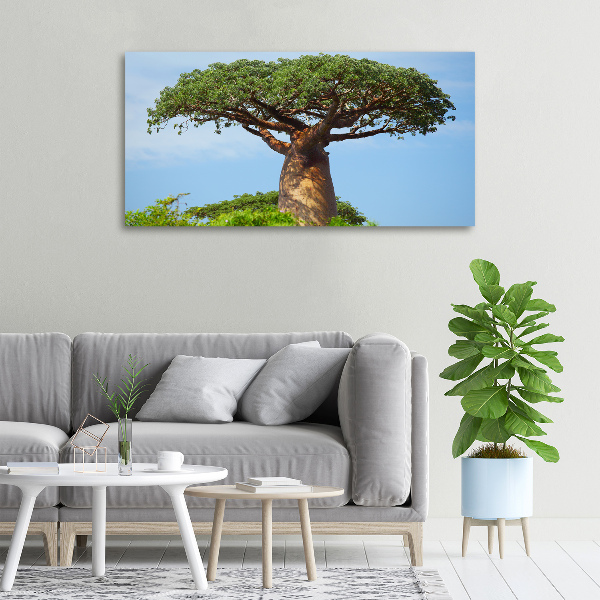 Canvas wall art Baobab