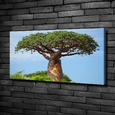 Canvas wall art Baobab