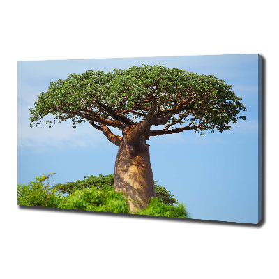 Canvas wall art Baobab