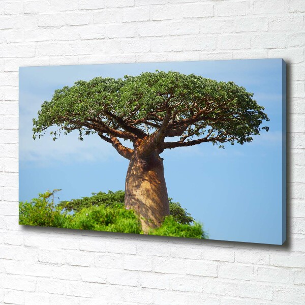 Canvas wall art Baobab