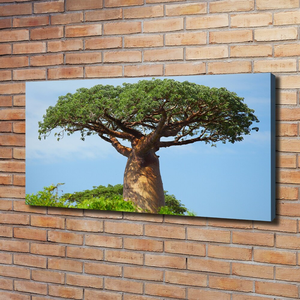 Canvas wall art Baobab