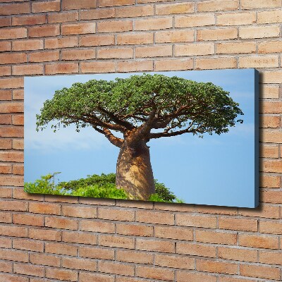 Canvas wall art Baobab