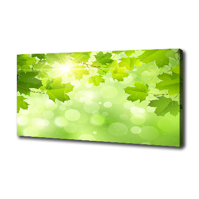 Canvas wall art Chestnut leaves