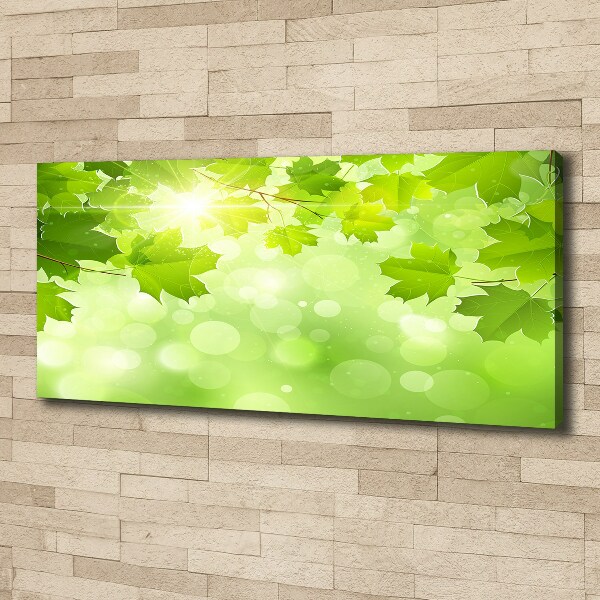 Canvas wall art Chestnut leaves