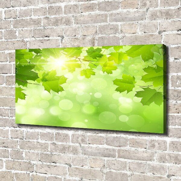 Canvas wall art Chestnut leaves