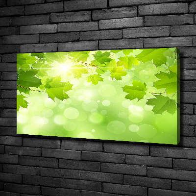 Canvas wall art Chestnut leaves