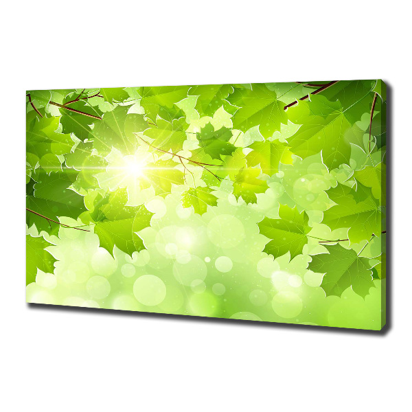 Canvas wall art Chestnut leaves