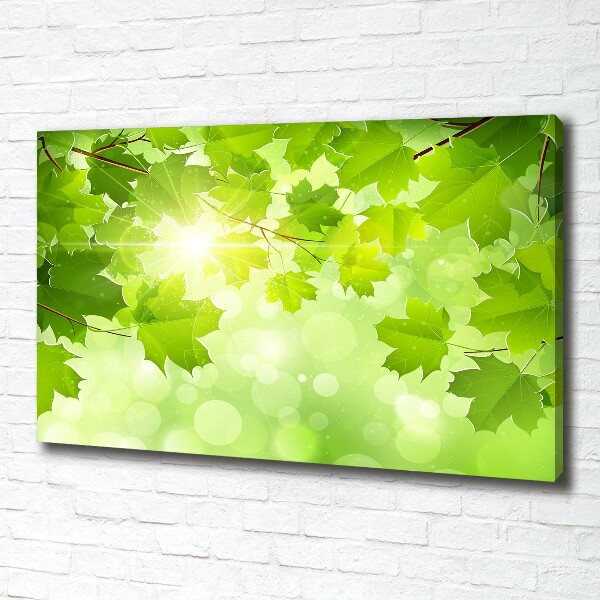 Canvas wall art Chestnut leaves