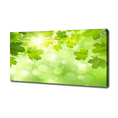 Canvas wall art Chestnut leaves