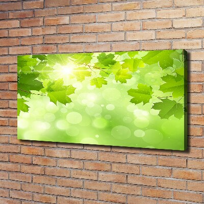 Canvas wall art Chestnut leaves