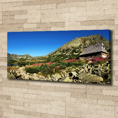 Canvas wall art Bacowka in the valley