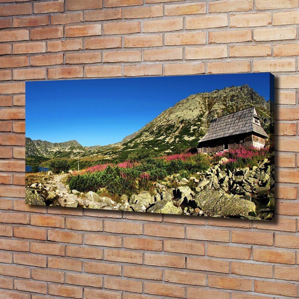 Canvas wall art Bacowka in the valley