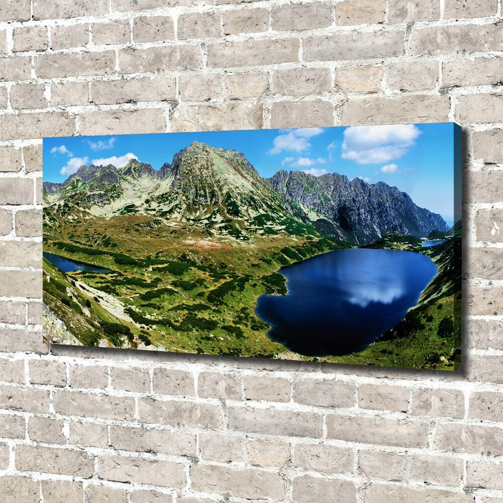 Canvas wall art Valley in the mountains