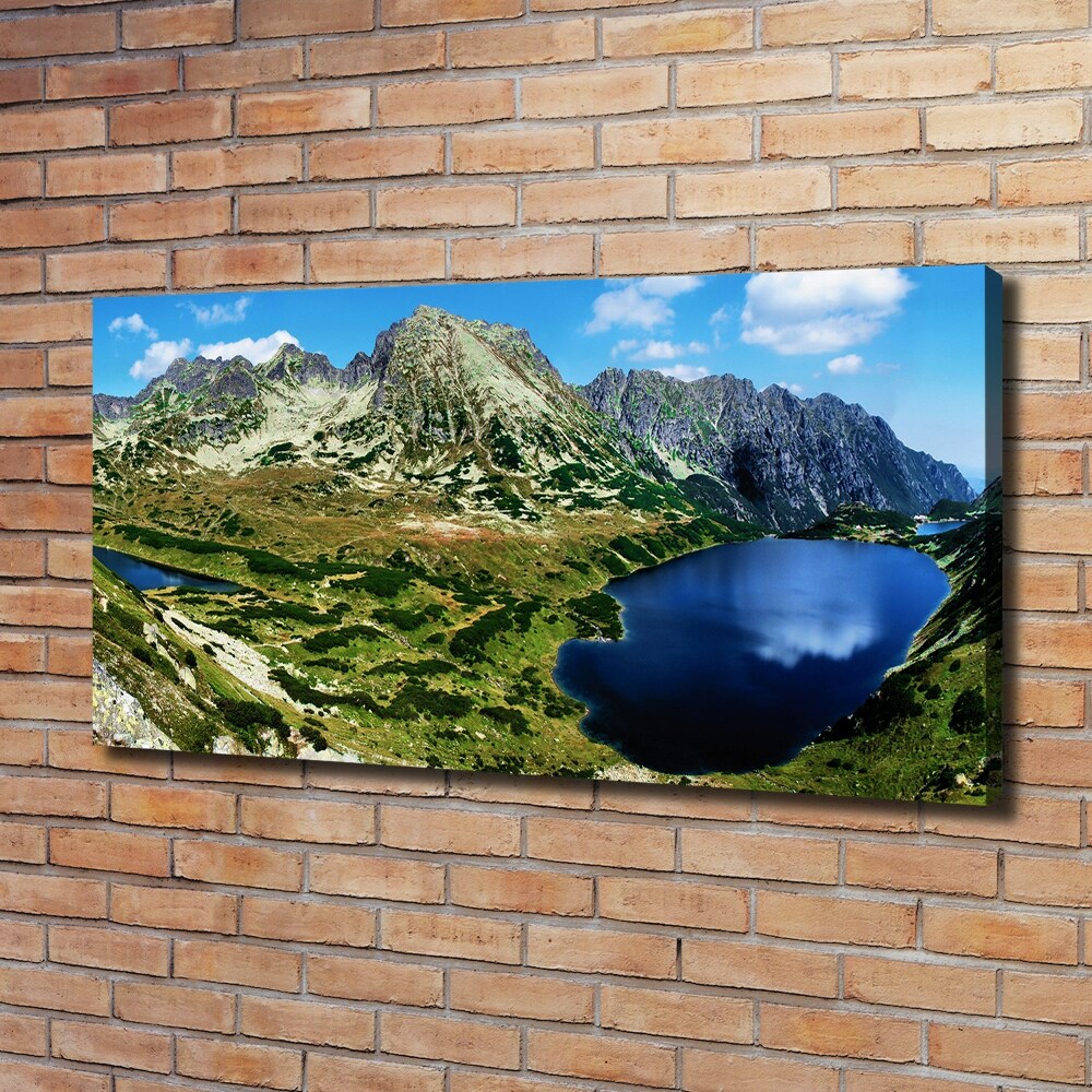 Canvas wall art Valley in the mountains