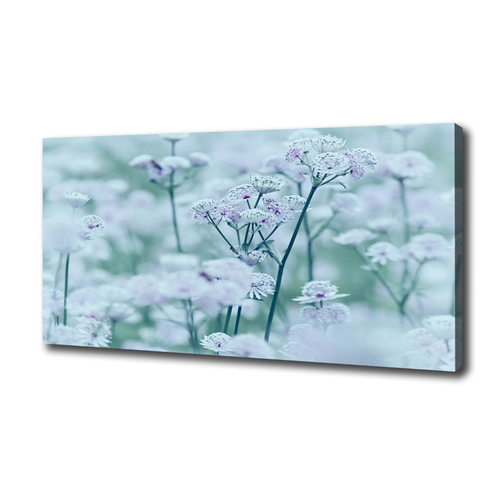 Canvas wall art Jarzmianka greater