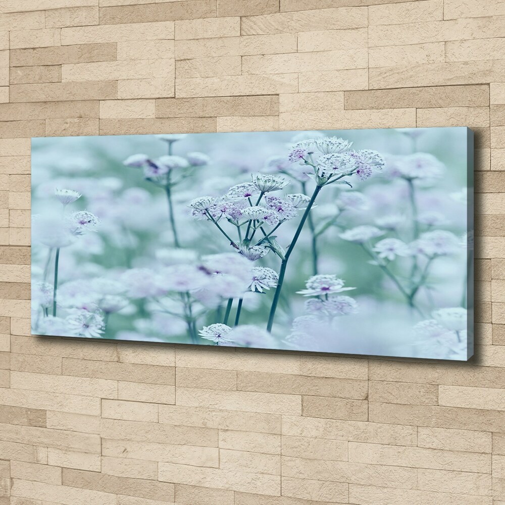 Canvas wall art Jarzmianka greater