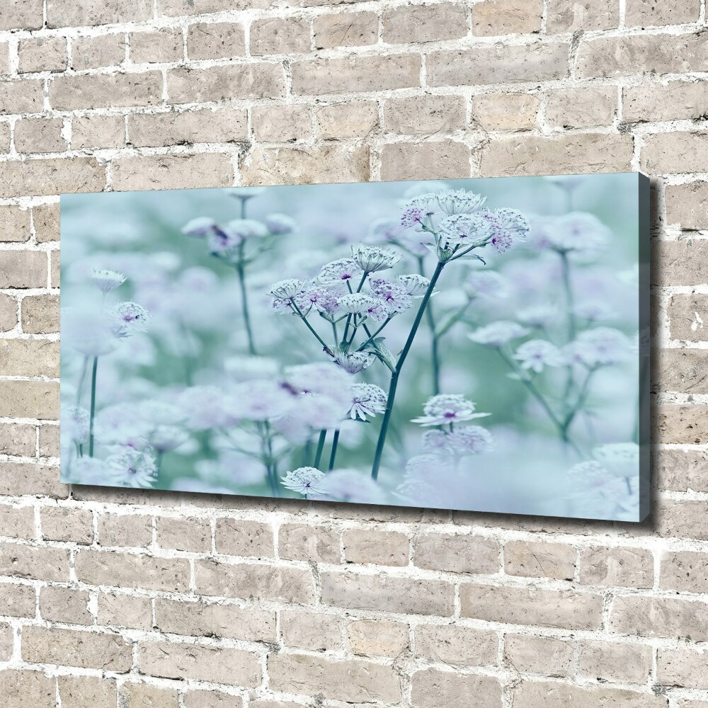 Canvas wall art Jarzmianka greater