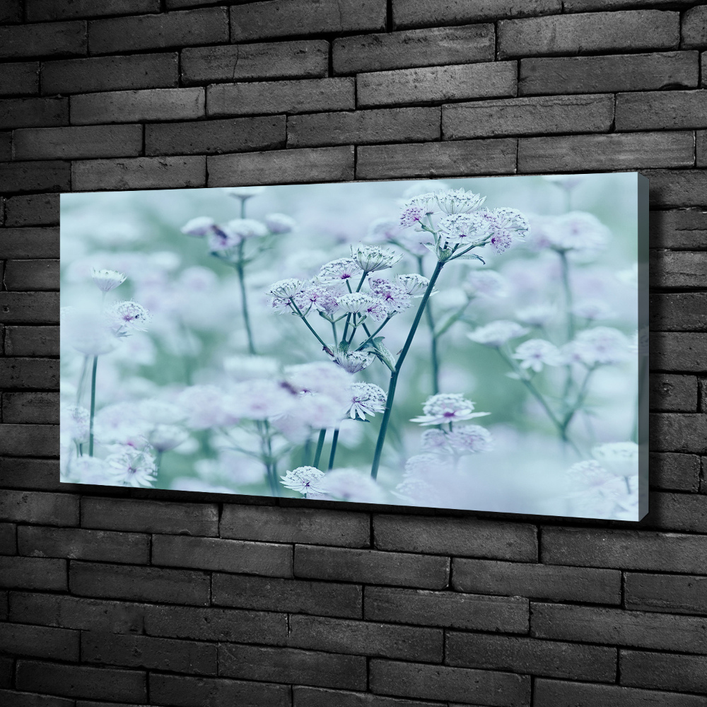 Canvas wall art Jarzmianka greater