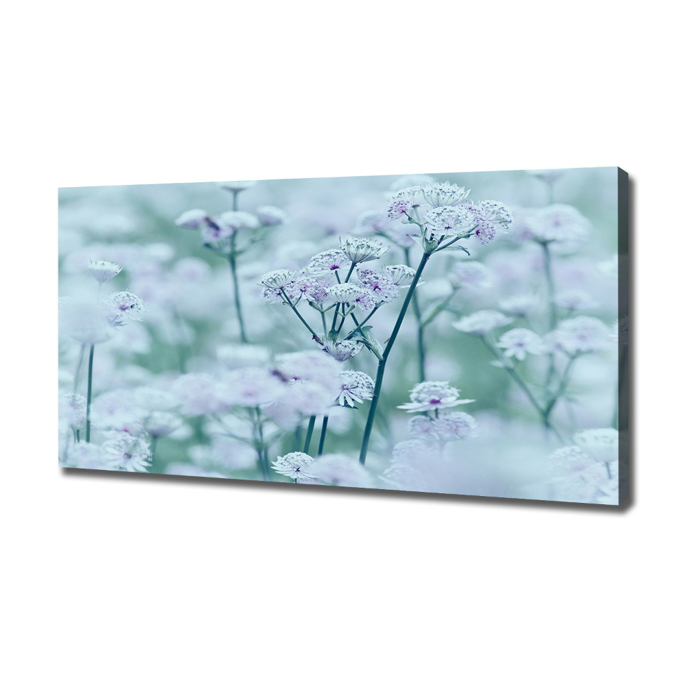 Canvas wall art Jarzmianka greater