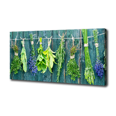 Canvas wall art Herbs on a string