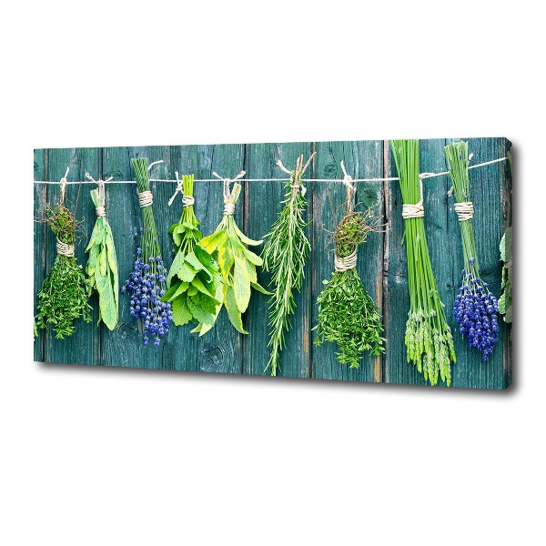 Canvas wall art Herbs on a string