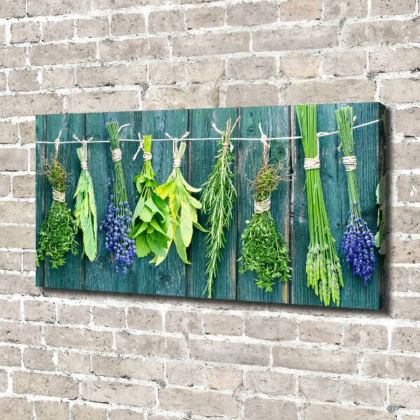 Canvas wall art Herbs on a string