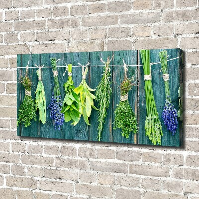 Canvas wall art Herbs on a string