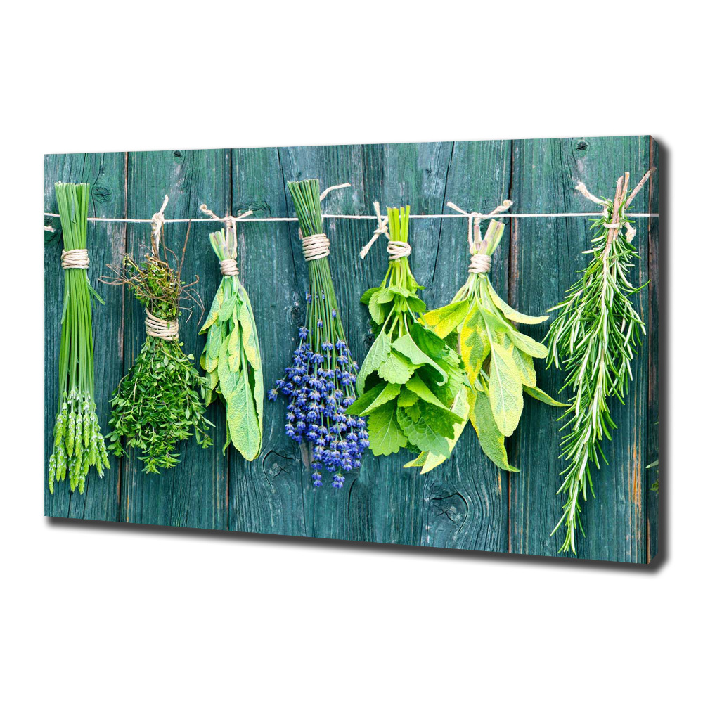 Canvas wall art Herbs on a string