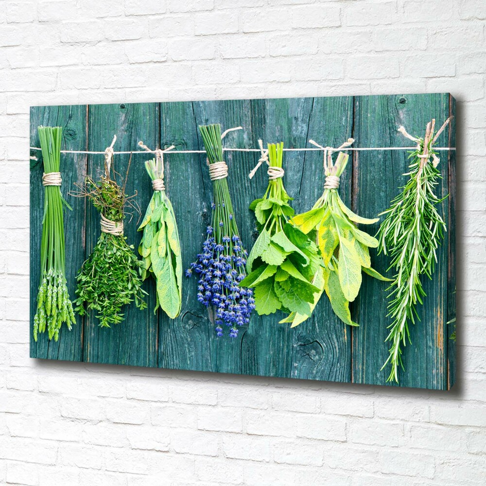 Canvas wall art Herbs on a string