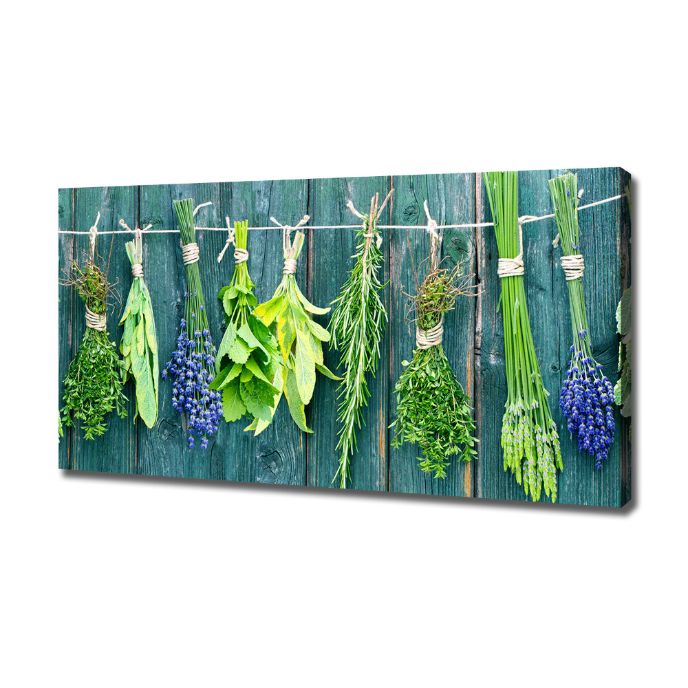 Canvas wall art Herbs on a string