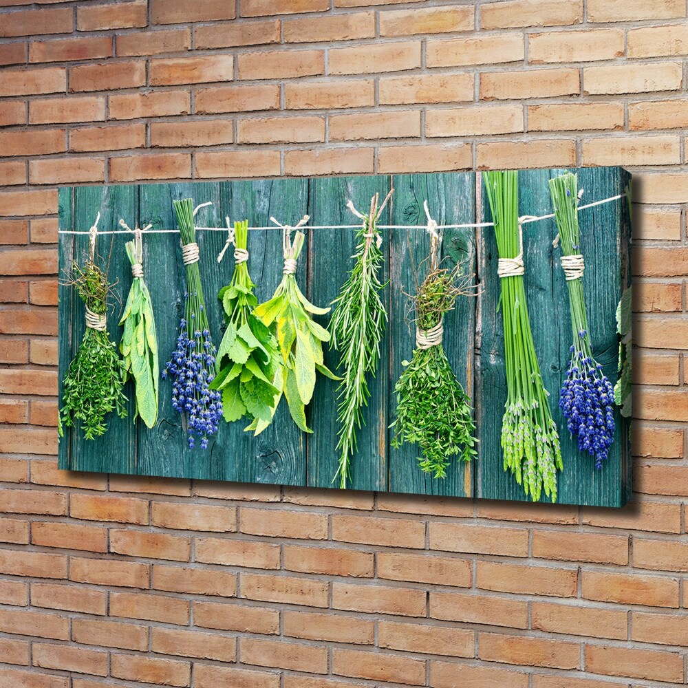 Canvas wall art Herbs on a string