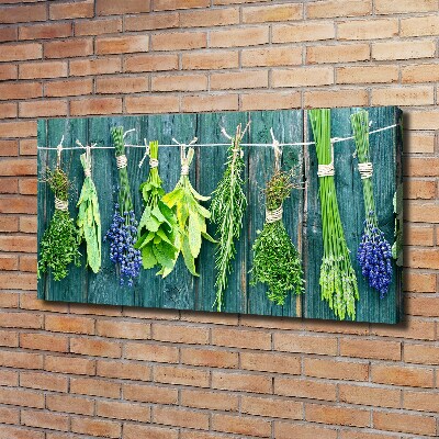 Canvas wall art Herbs on a string