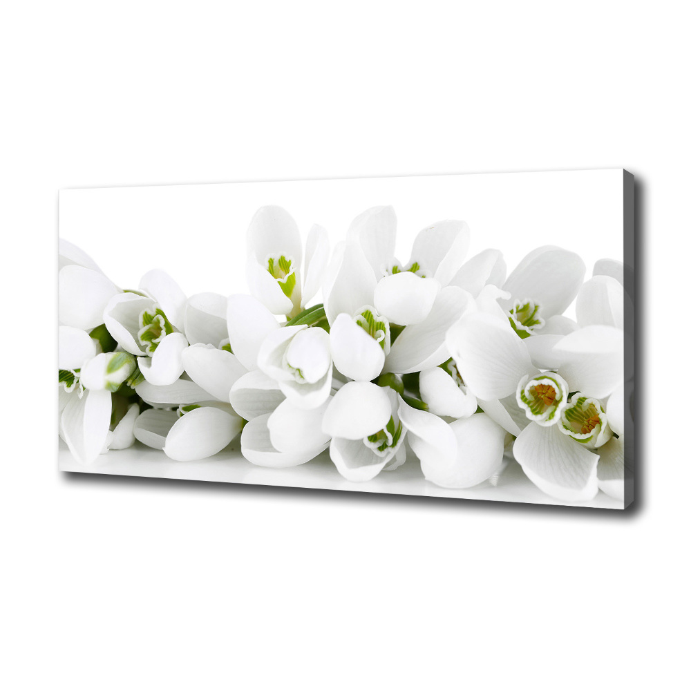 Canvas wall art Snowdrops