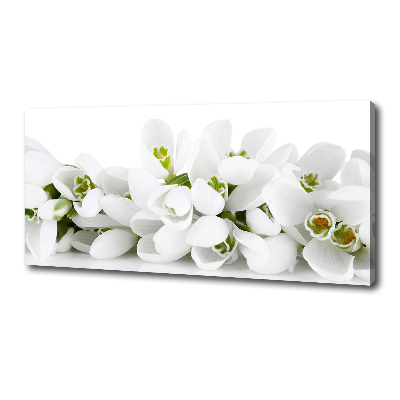 Canvas wall art Snowdrops