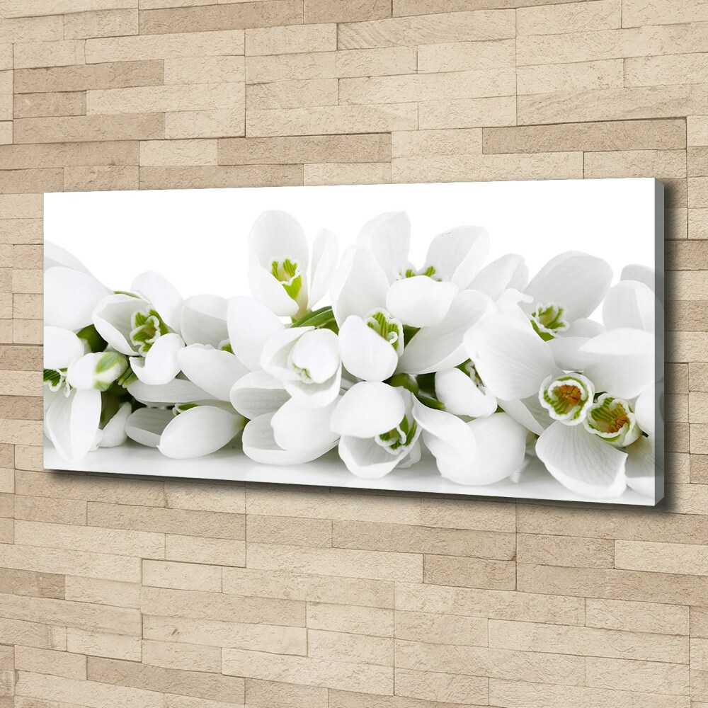 Canvas wall art Snowdrops