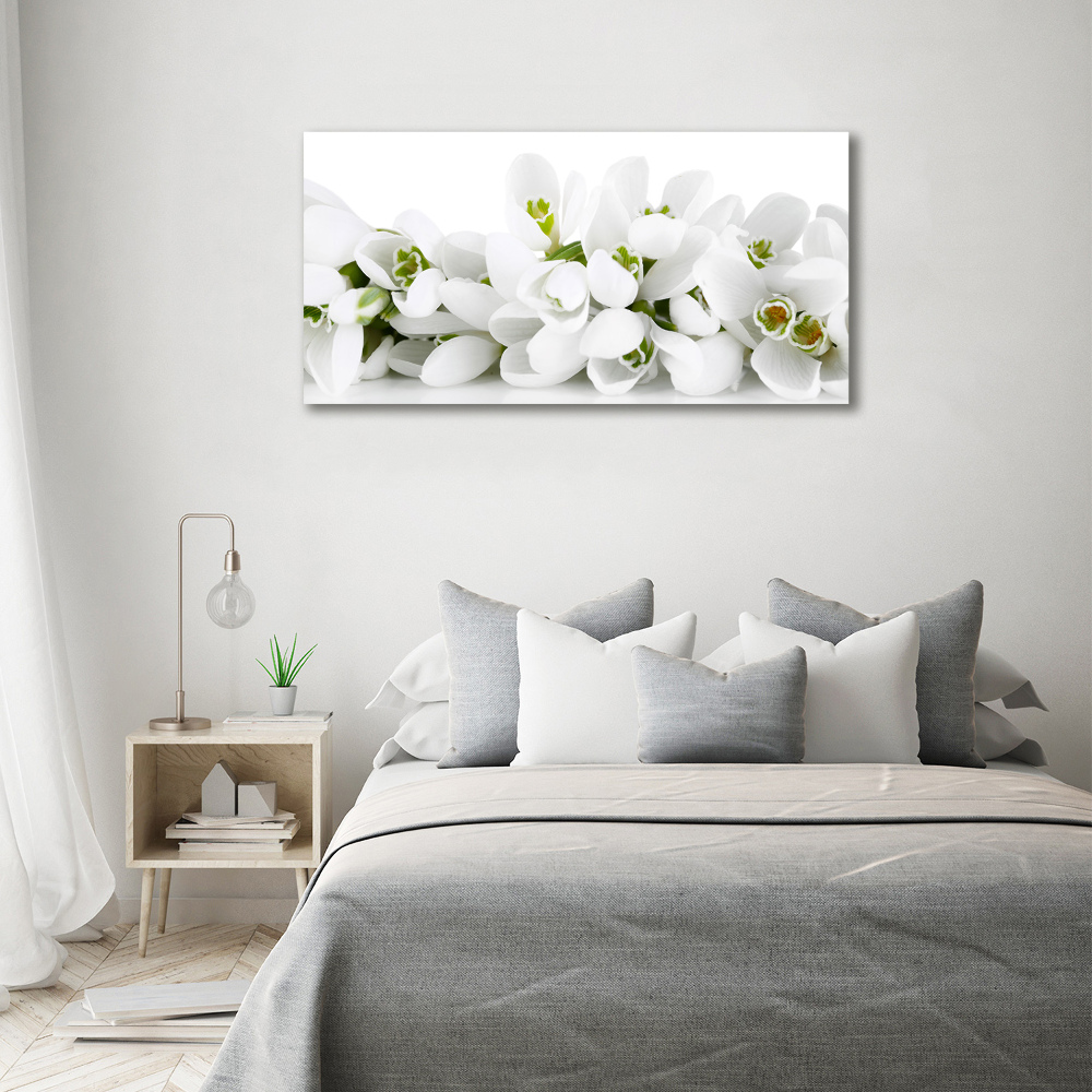 Canvas wall art Snowdrops