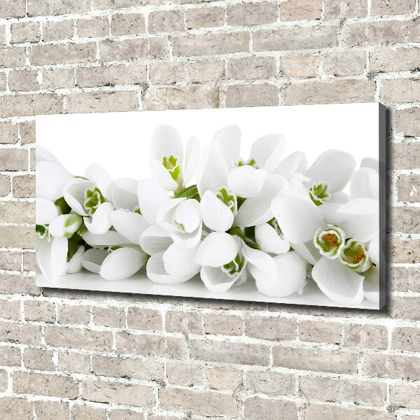 Canvas wall art Snowdrops