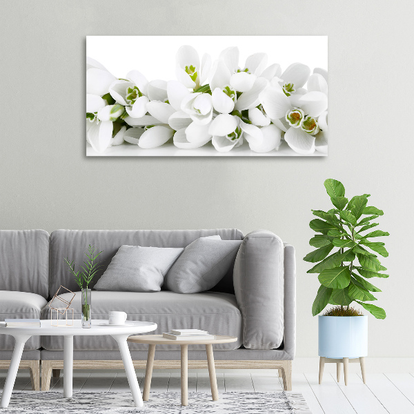 Canvas wall art Snowdrops