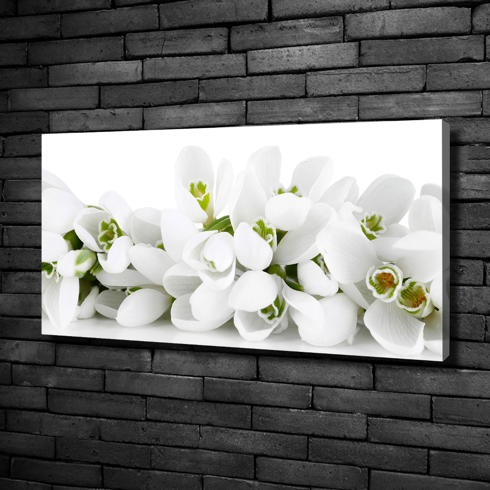 Canvas wall art Snowdrops