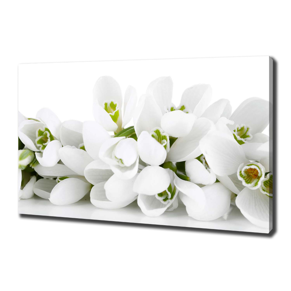 Canvas wall art Snowdrops