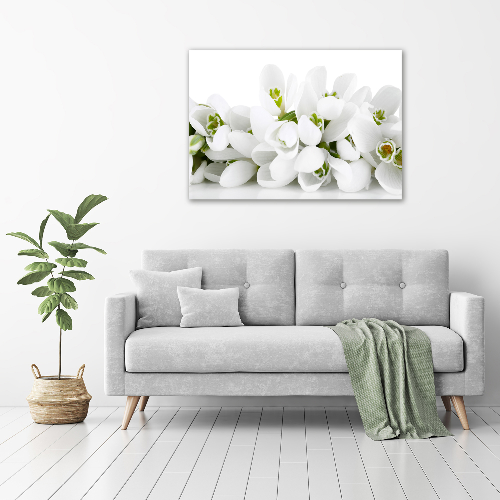 Canvas wall art Snowdrops