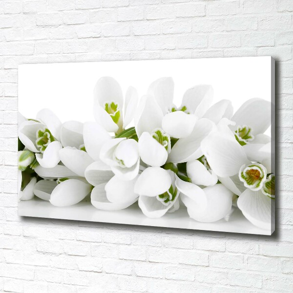 Canvas wall art Snowdrops