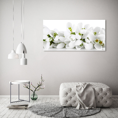 Canvas wall art Snowdrops