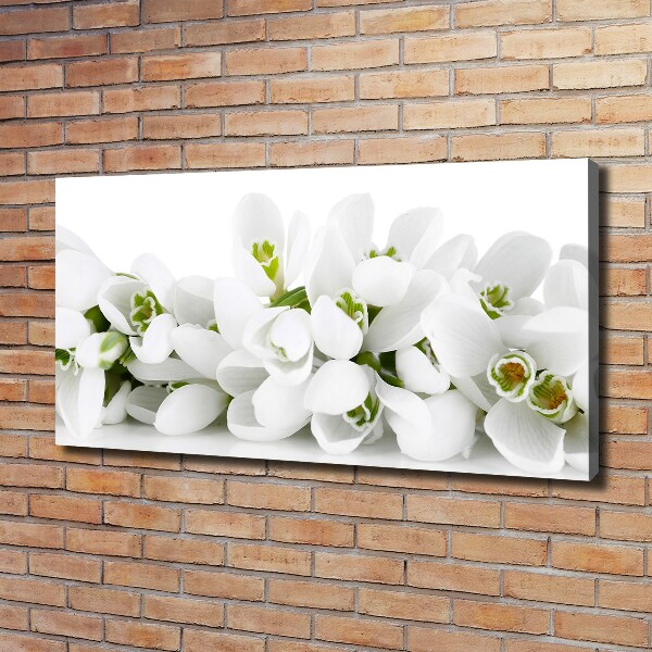 Canvas wall art Snowdrops