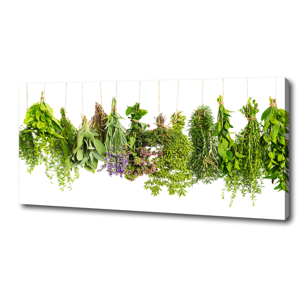 Canvas wall art Herbs on a string