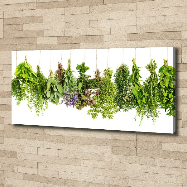 Canvas wall art Herbs on a string