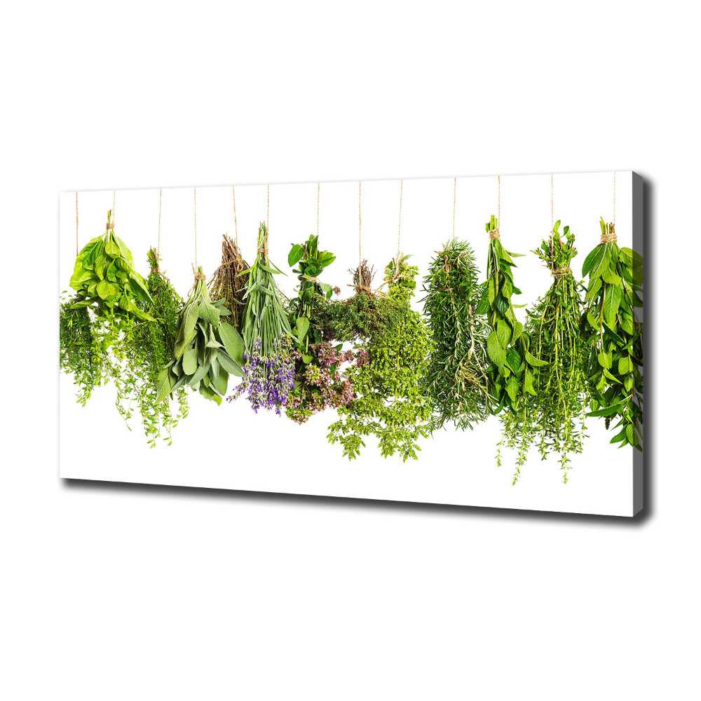 Canvas wall art Herbs on a string