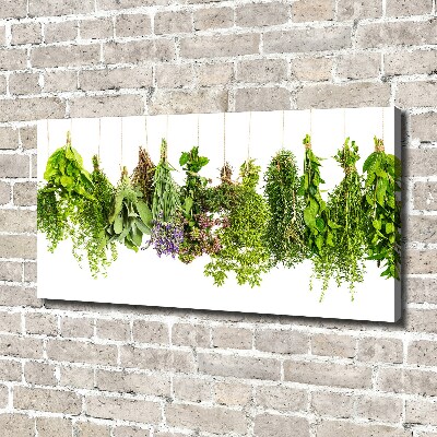 Canvas wall art Herbs on a string