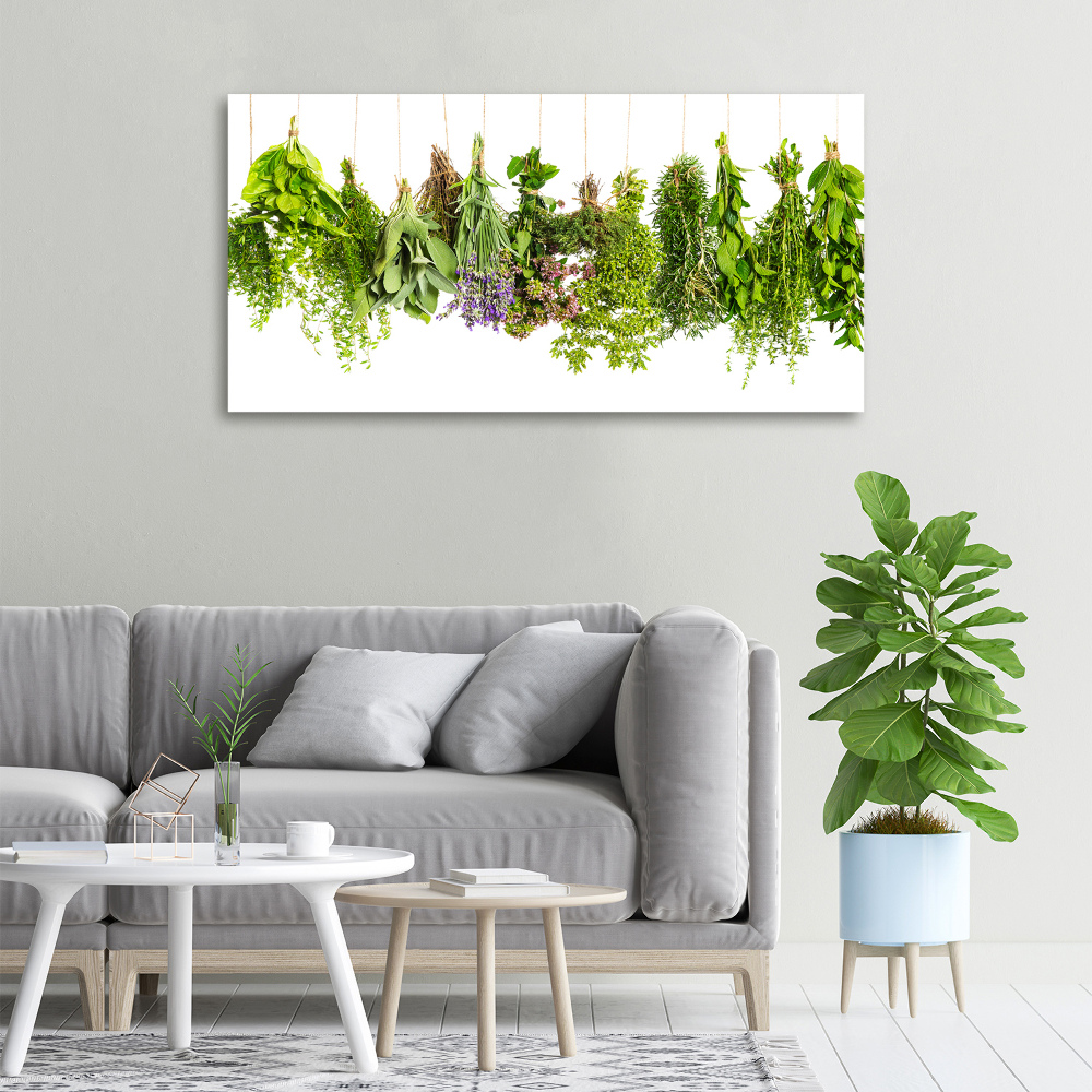 Canvas wall art Herbs on a string